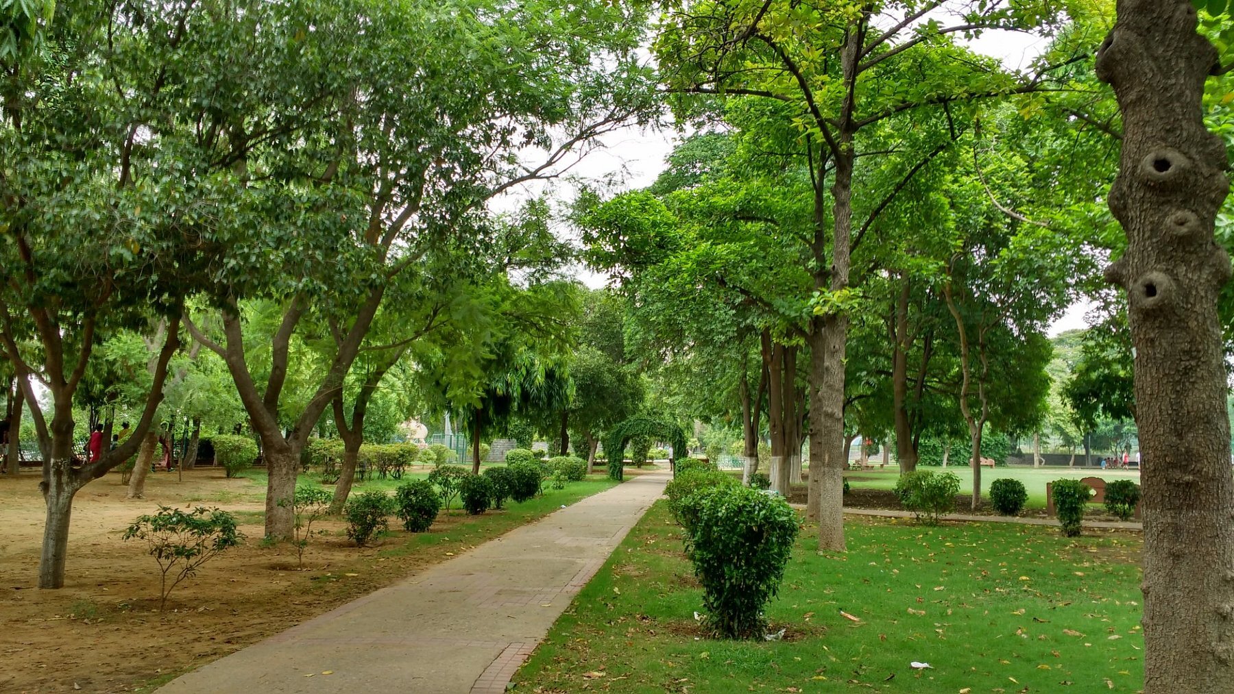 Ramgarh Orchards